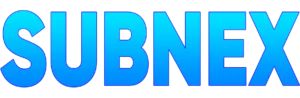 Subnex IT Logo